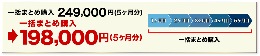 一括まとめ購入298,000円（6か月分）→198,000円（6か月分）