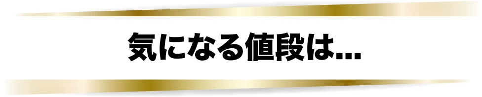 気になる値段は…